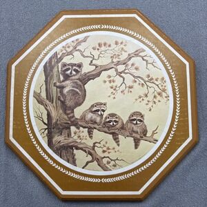 Vintage Beautiful Young Raccoons Wall Plaque